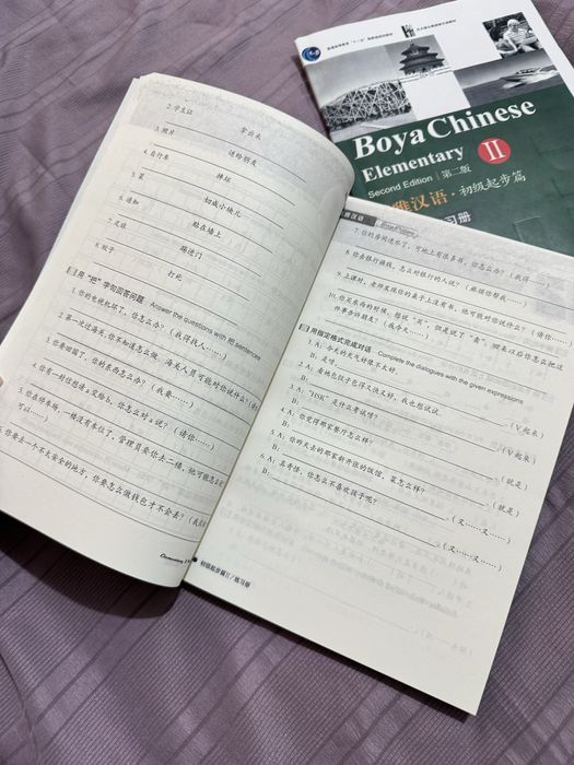 Китайские тетради Boys Chinese