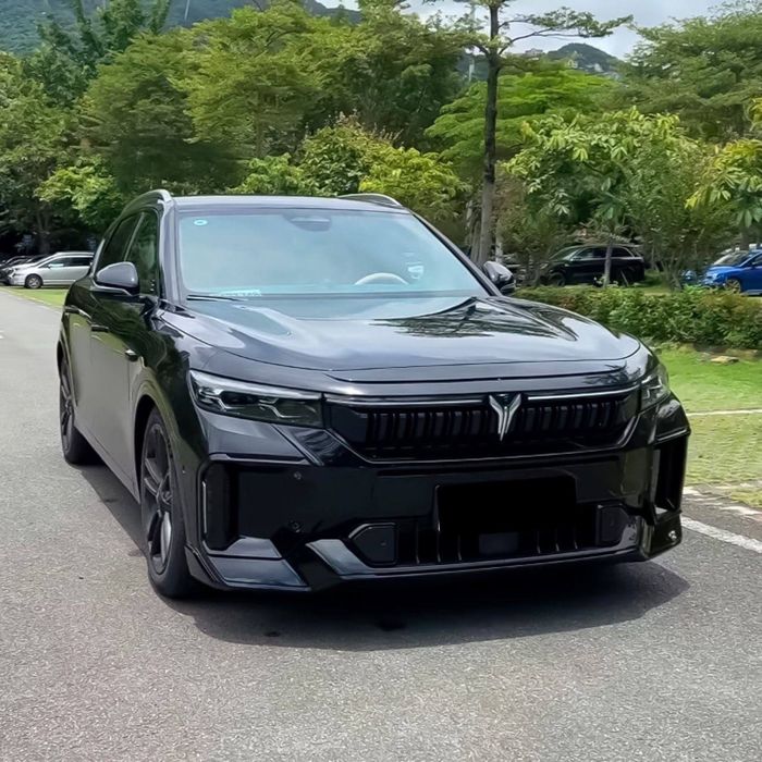 Voyah free 318 apollo tech