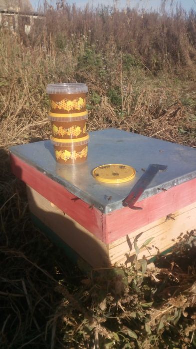 Продам Мёд натуральный 2025 года