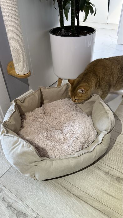 Продам кроватку для кошки