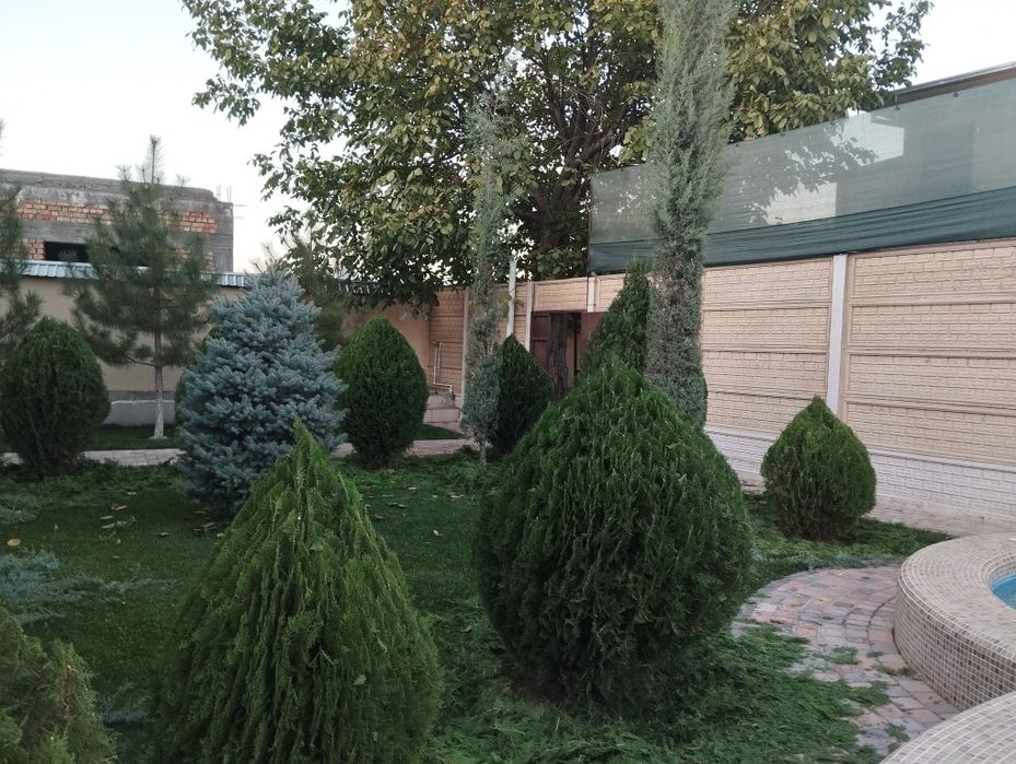 Арча кесиш хизмати дорилаш богбончилкгазон иккиш