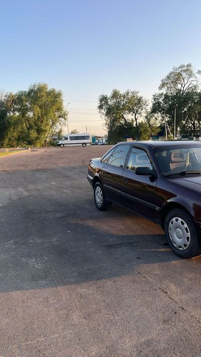 Один хозяин в Казахстане