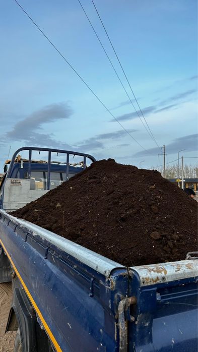 Чернозем, перегной
