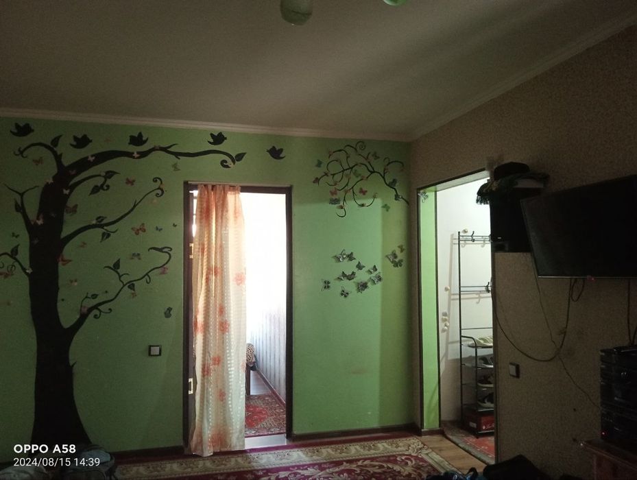 Bez makler o'g'li bollarga kvartra Bor