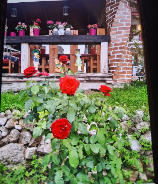 Casa de vanzare in Turches