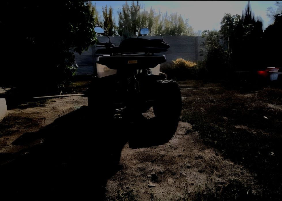 Квадрик shark 125 st