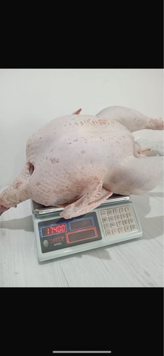 Индейка тушками 3200 за кг