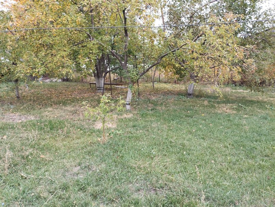 Продается дом с большим участком