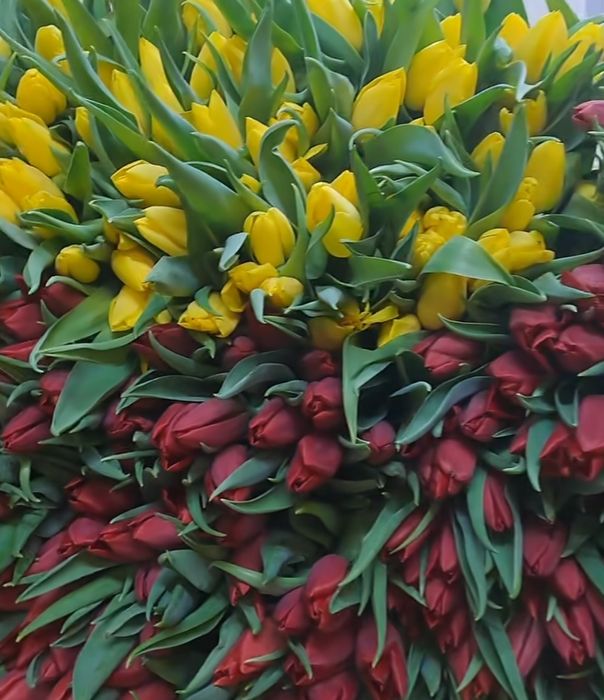 Тюльпаны оптом Петропавловск