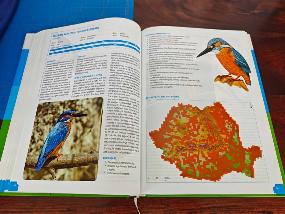 Atlas al speciilor de pasari de interes comunitar din Romania