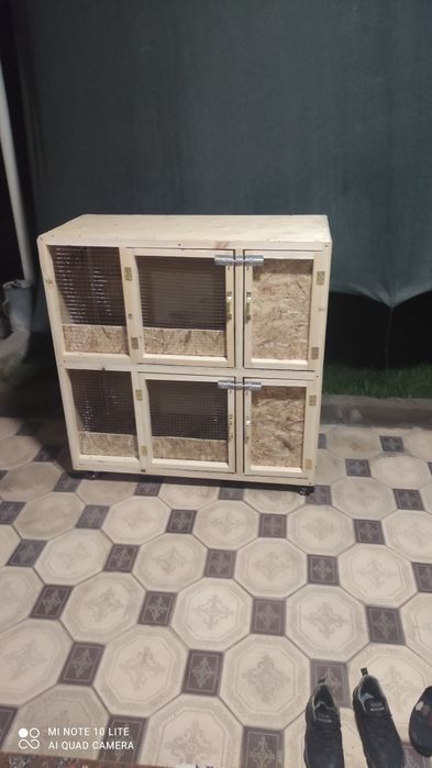 Quyon qafaslar zakasga