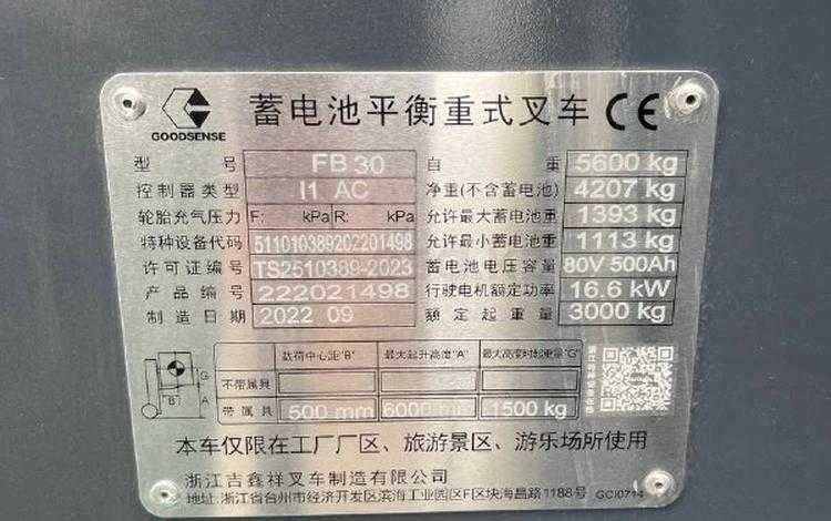 Goodsense FB30 ELECTRO 3х тонник 2025 г.