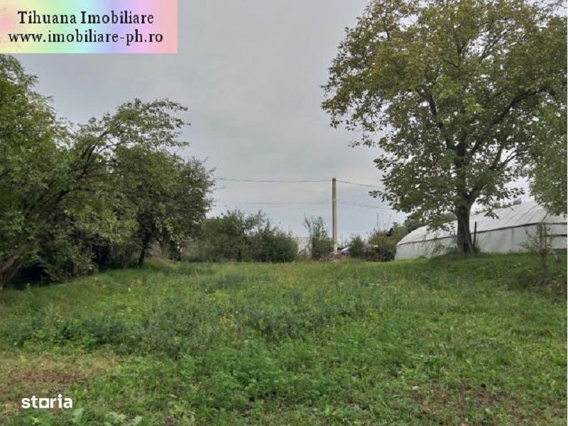 Teren de vanzare - Baicoi(Central),toate utilitatile