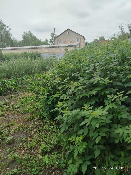 продажа дома в Рабочем поселке