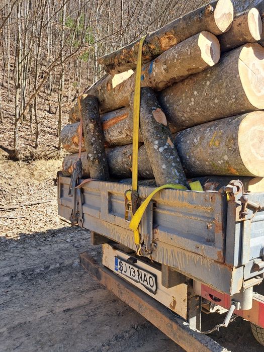 Lemne de vanzare județul salaj