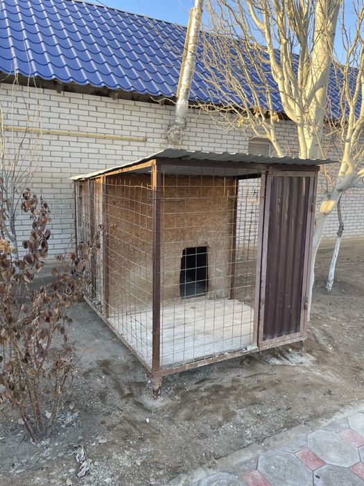 Валер для собак с буткой  пол деревяный