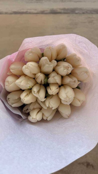 Тюльпаны (Голландская луковица) оптом и в розницу