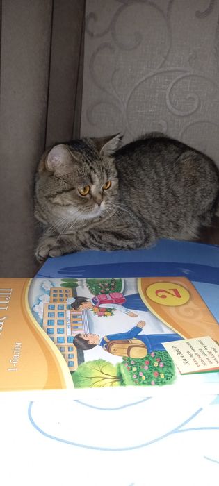 Молоденькая британка