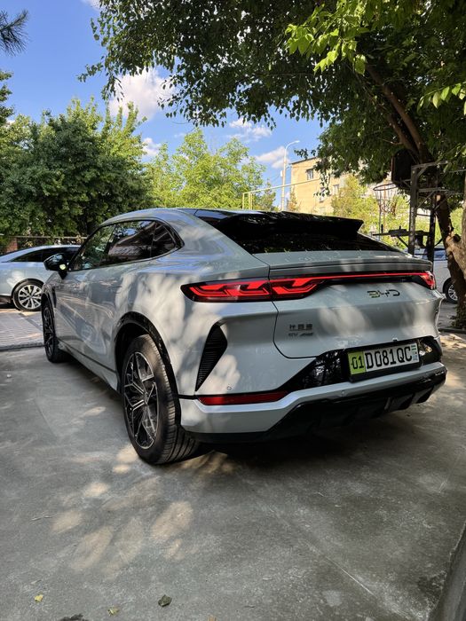 Byd song L 5poz 2024