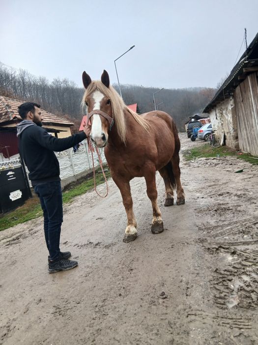 1111111111111111111111111111