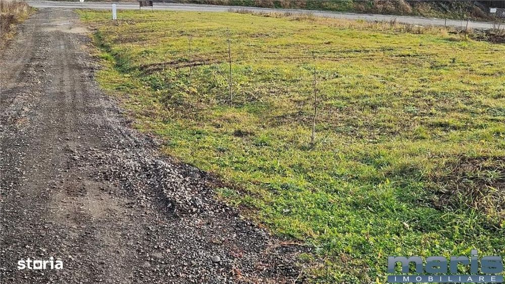 Vanzare 9 ari teren intravilan Tg. Mures Str. Zeno Vancea.