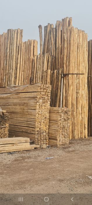 Terak mahsulotlari optim