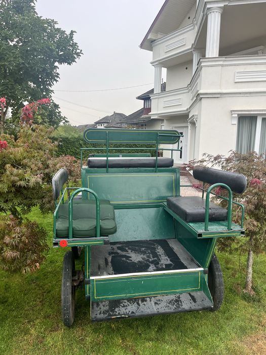 Sareta / Maraton / Trasura cal sau ponei
