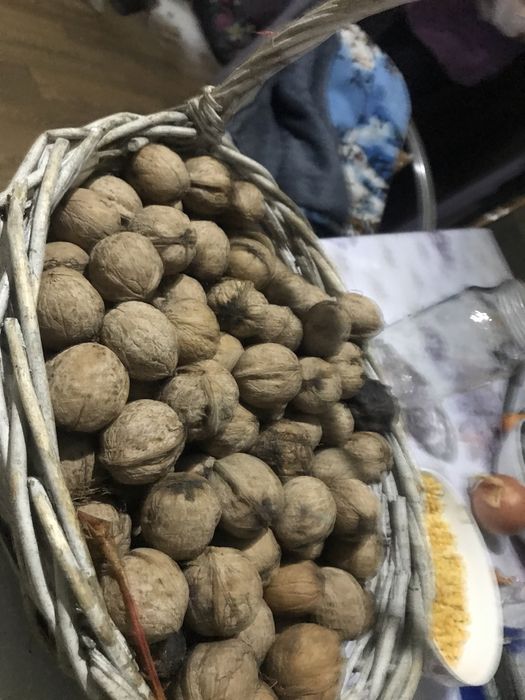 Орехи продам