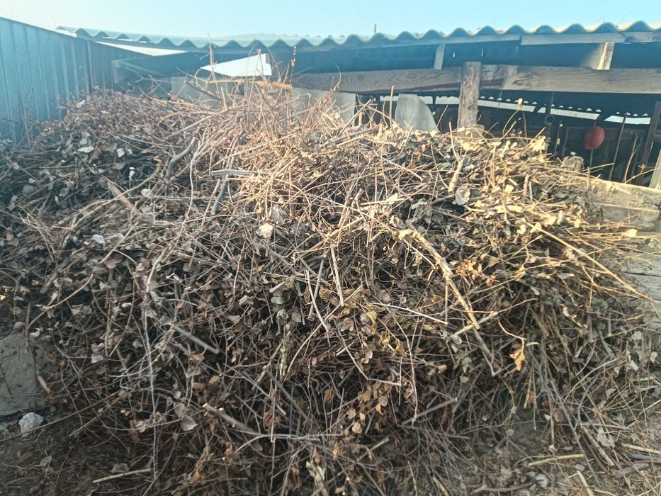 Отын бар машина телешка 15000мын