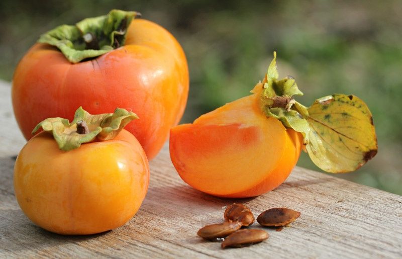 Kaki (Soiuri Diferite )