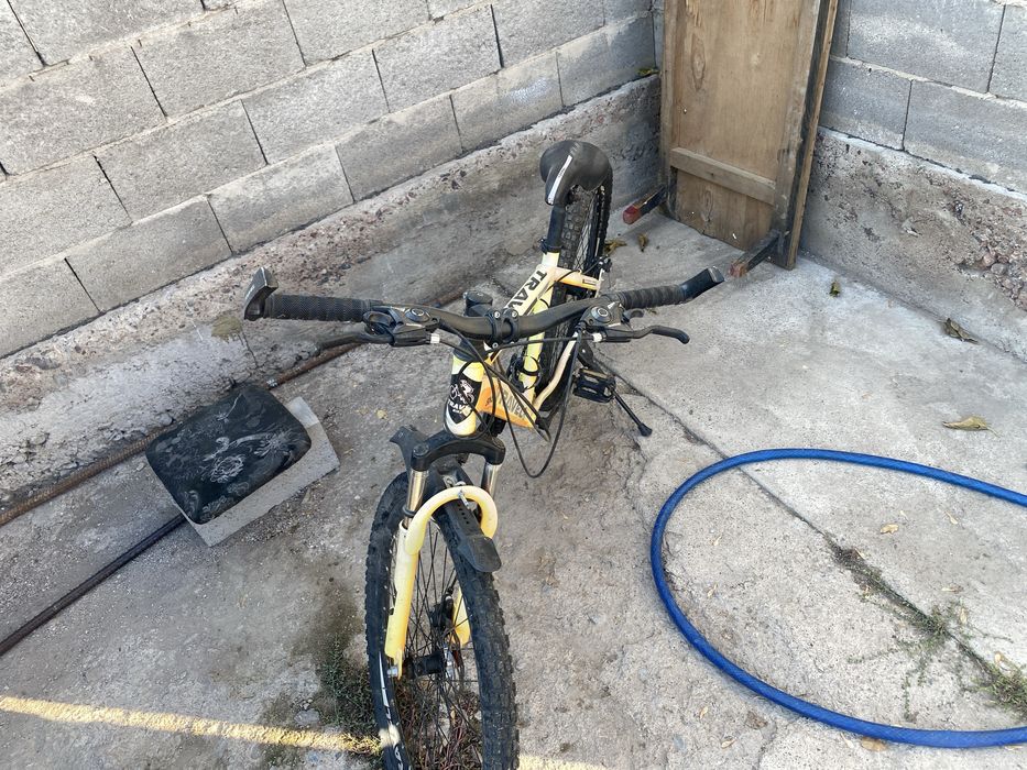 Белик жаңа ну күнде тұрып қалған