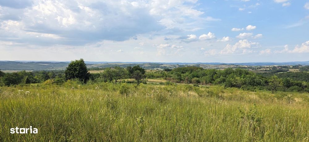 Teren Extravilan 9.528mp/ Vârciorog -Bihor / 30 km de Oradea