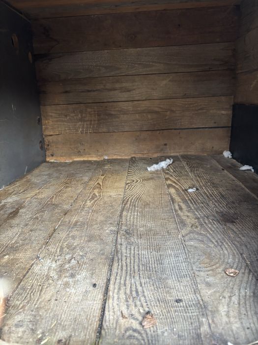 Cusca caini talie mare