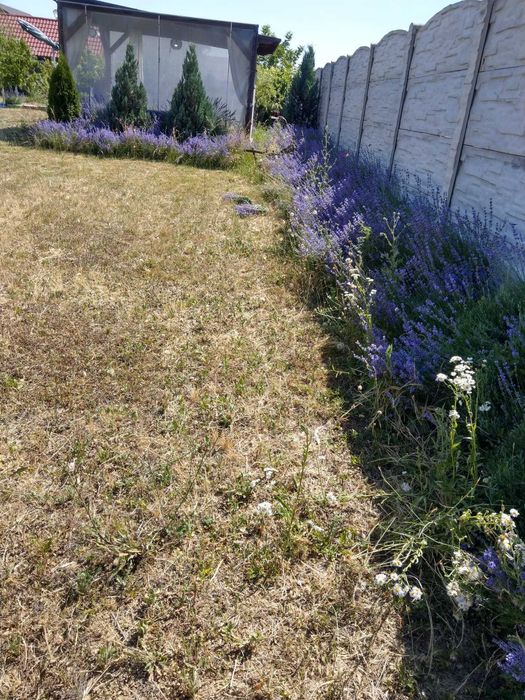 VAND TEREN 2008MP in ALBESTI pe strada Colonel Ioan Angelescu