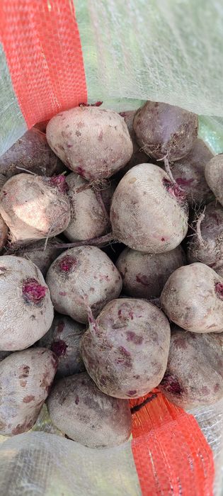 ҚИЗИЛЧА мақсулоди сотилди наманганда