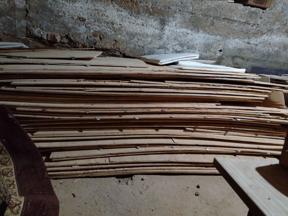 Faner baquvvat  qalingina