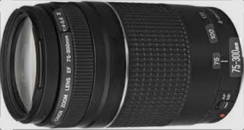 Объектив canon 75x300