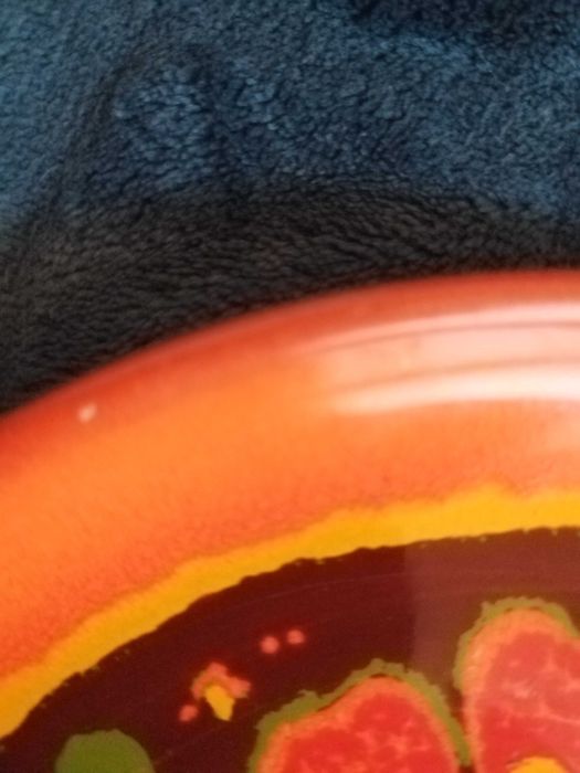 Farfurie decor din portelan. Portocaliu cu flori. Minora ciobitura!