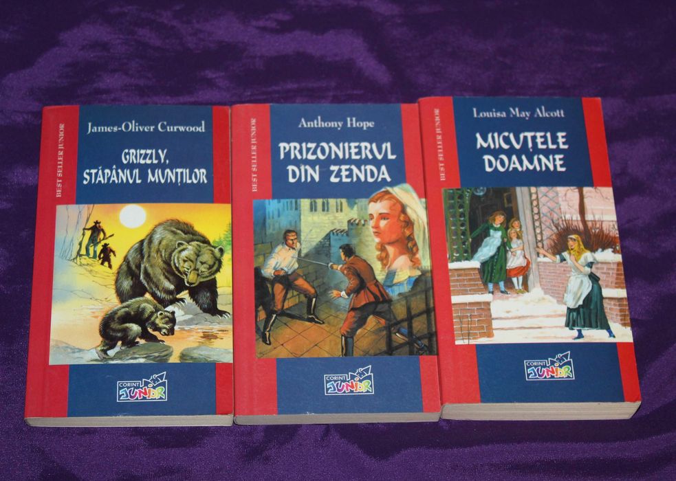 22 carti pentru copii Pinocchio Micul Print Micutele doamne Prizonierul din Zenda Erich Kastner Emil si detectivii Comandantul cetatii de zapada