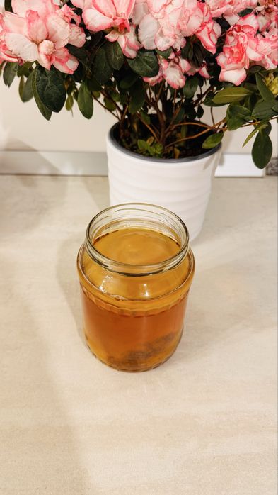 Ciuperca kombucha - scopi si starter