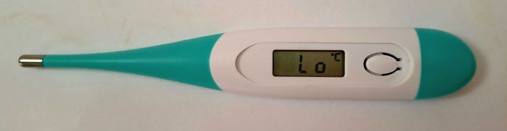 Termometru digital cu cap flexibil