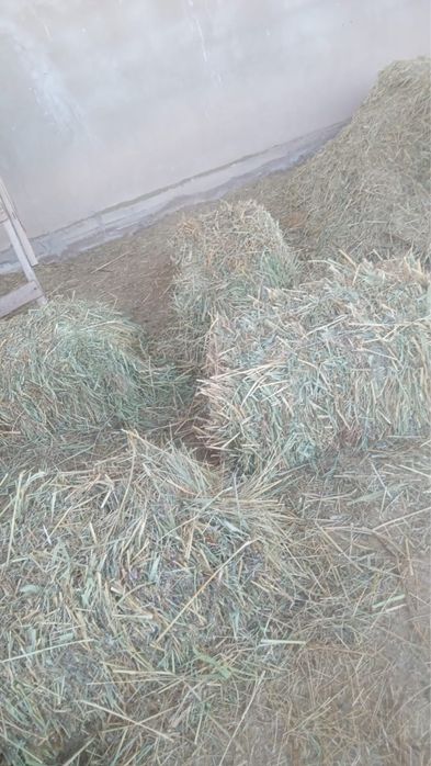 Сено разнотравье