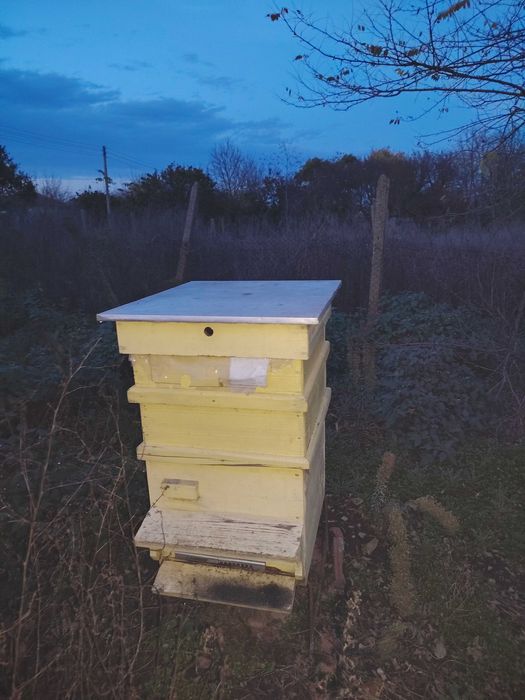 Кошери с по два магазина