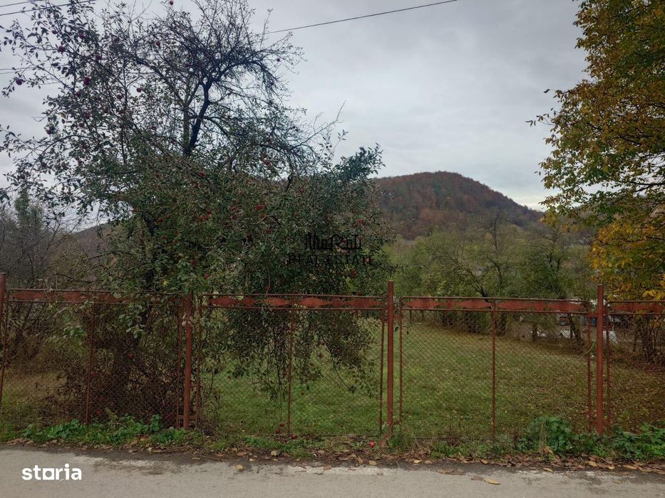 Teren intravilan 2500mp Criscior