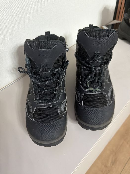 Сапоги мужские Ecco