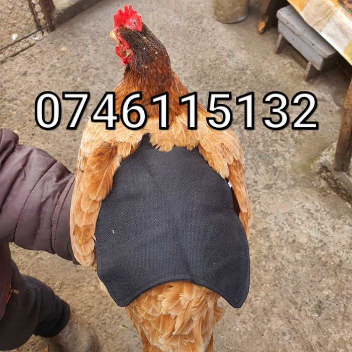 ”Sa” - Protectie Textila Pentru Pene la Gaini Pauni Rate Fazani-Pasari