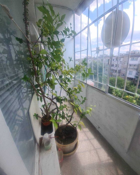 Продава се Двустаен апартамент в София, Надежда 4 - 63 кв.м за 2143 €/кв.м - Снимка #7