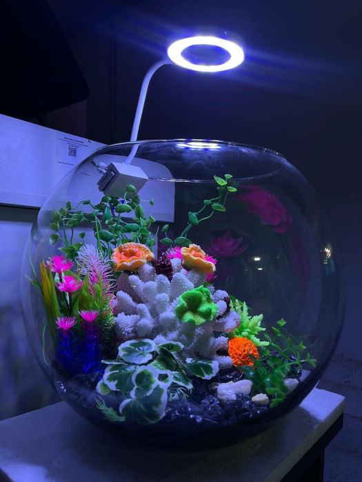 В Нашем Магазине имеются Б наличии Круглые Аквариумы