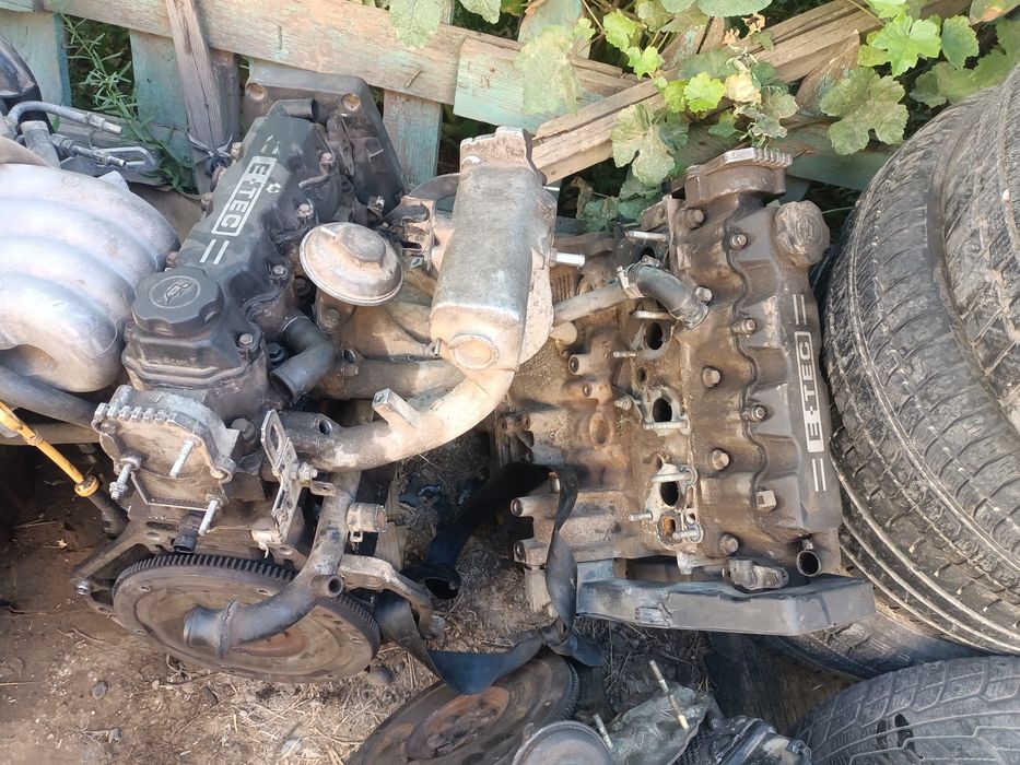 Нексиге маторлар бар