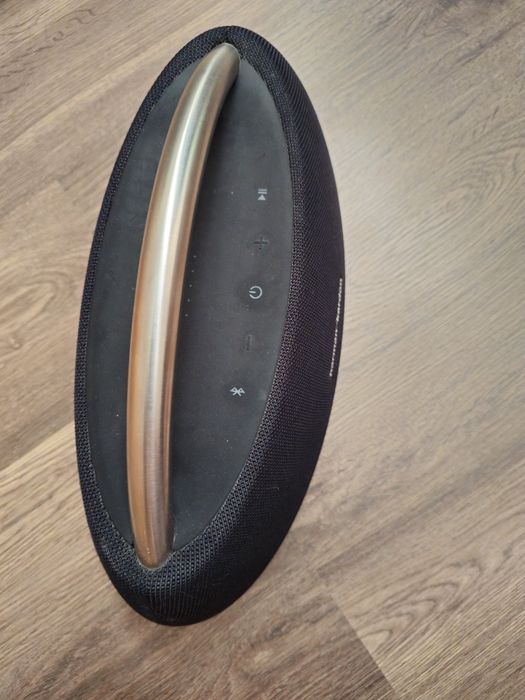 Harman Kardon go play mini